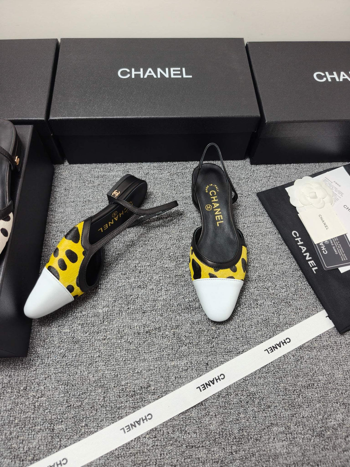Chanel 2026 Slingback Horsehair Sheepskin 856006