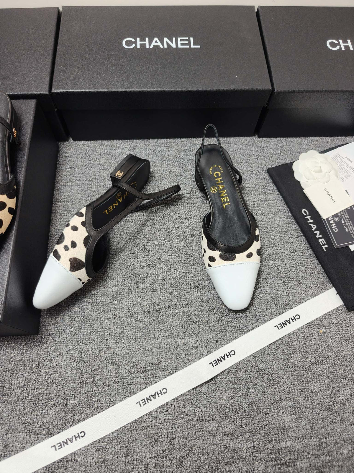 Chanel 2026 Slingback Horsehair Sheepskin 856006