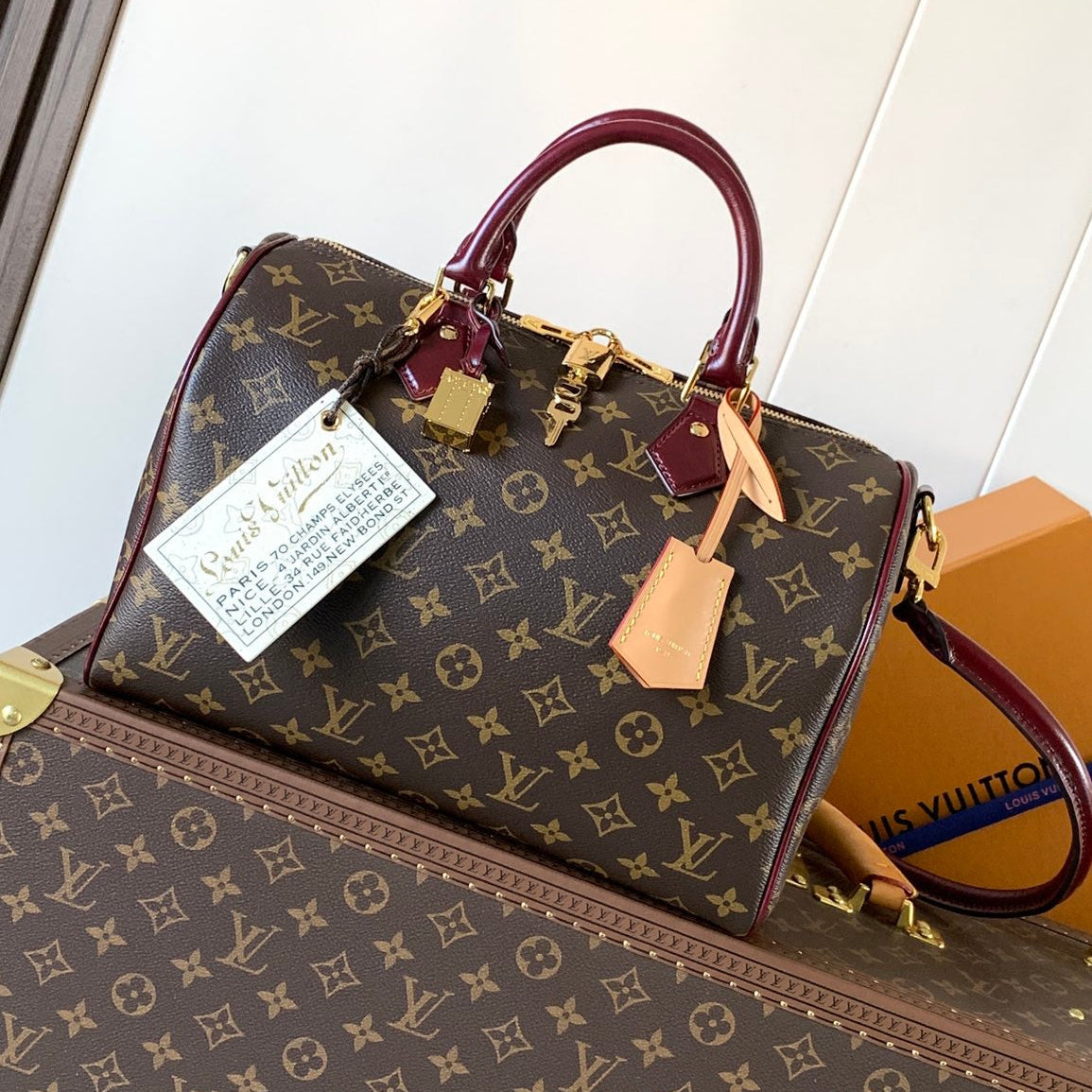 LV 2026 Speedy Soft Bag 30cm Brown Burgundy Canvas Cowhide 281457
